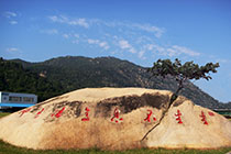 生生不息、意法天地